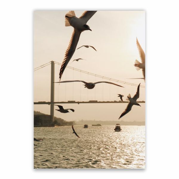 Sea Gulls Bridge Background Poster - A1