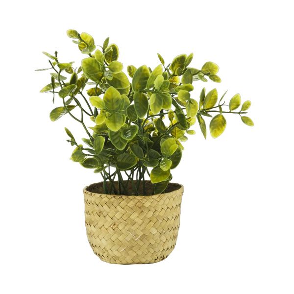 Home Decor Basket Potted Plants - Set of 2