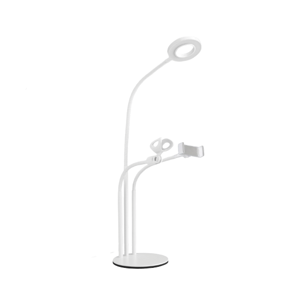 3 In 1 Selfie Light Phone and Microphone Holder