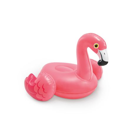 Pink flamingo 2025 water toy