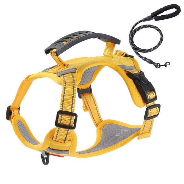 Large Dog Pet Harness Leash