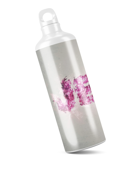 Katz Designs - Metal Water Bottle - Jesus Pink