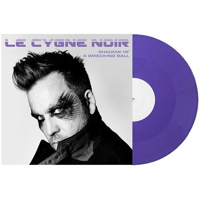 Shadow of a Wrecking Ball (Vinyl / 12" Album)
