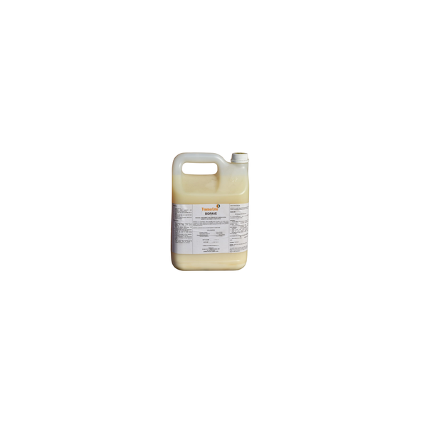 TimberLife: Biopave (5lt)