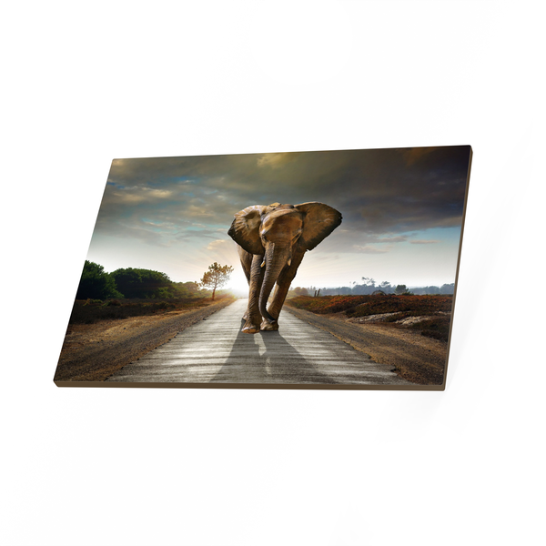 African Elephant Canvas Print - Contemporary
