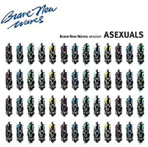 Brave New Waves Session (CD / Album)