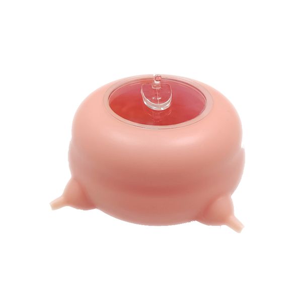 Puppy &amp; Kitten Feeding Device With 4 Pacifiers Silicone Feeding Bowl