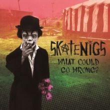 What Could Go Wrong? (CD / Album Digipak)