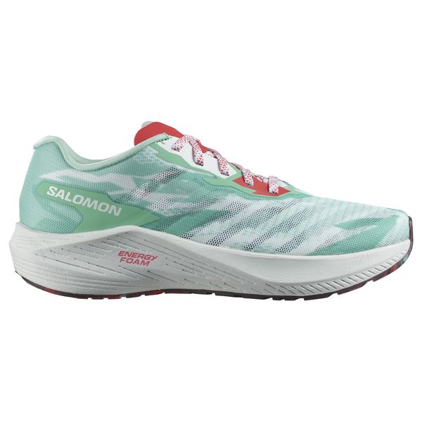 Salomon logo