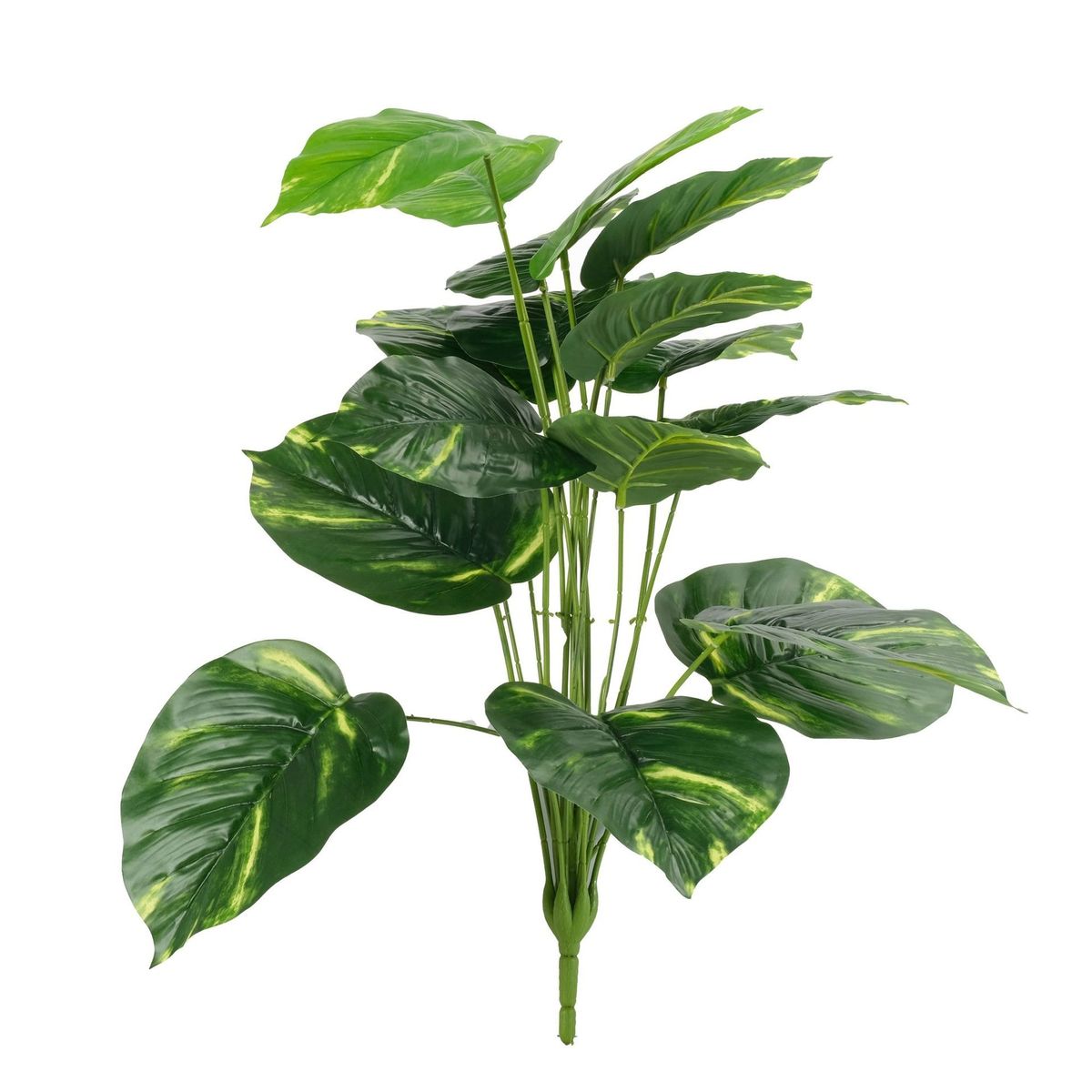 Artificial Devils Ivy Plant Shop Today. Get it Tomorrow!