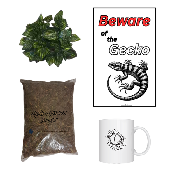 Reptile Combo Gift Set for Reptile Keppers 4-Pack (Black Gecko)