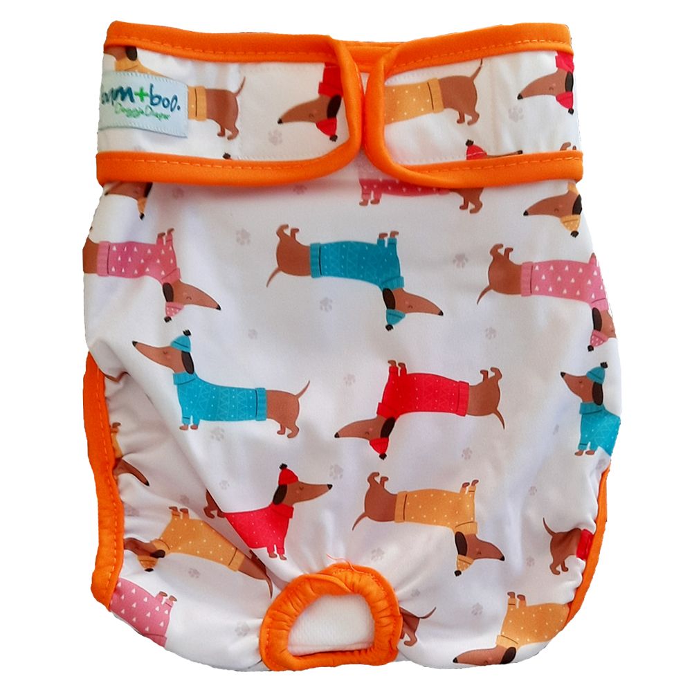 female-dog-diaper-dachshund-shop-today-get-it-tomorrow-takealot