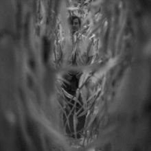 Cells Remain (Vinyl / 12" Album)