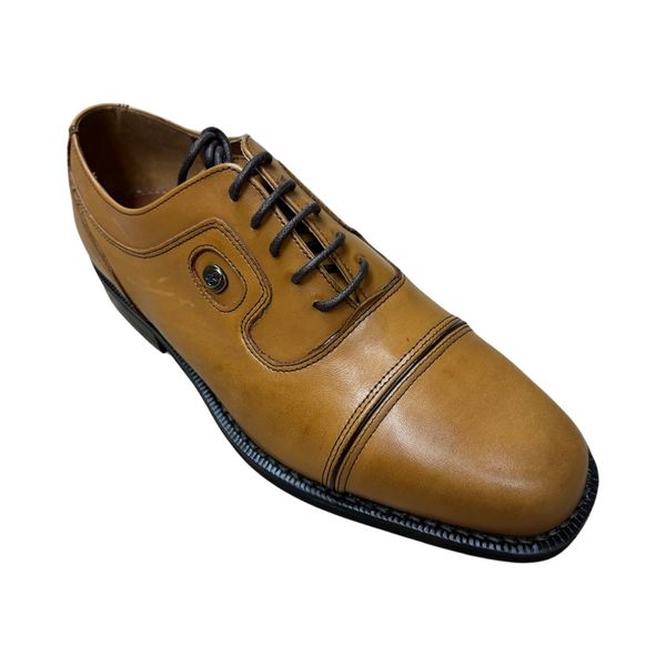 Elegant Leather Dress Shoes