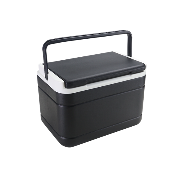 Insulated Golf Cart Cooler Box. Portable with Mounting Brackets. 8 liters