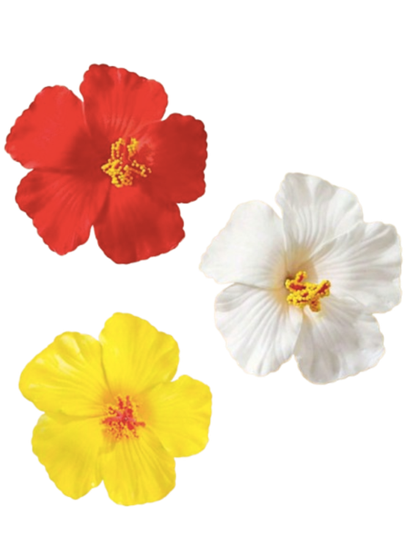 Hawaiian Flower Hair Clip - Red, Yellow and White - Set of 3