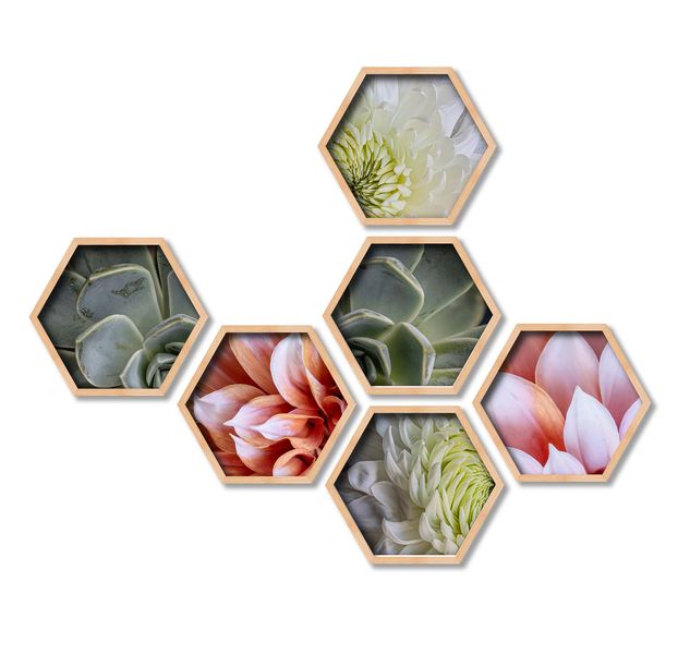 CapeArt Pine Hexagonal Wall Art Canvas 6 Piece collage Succulent Blossom