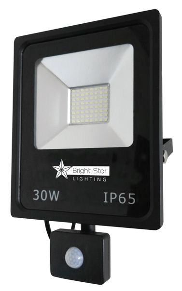 Bright Star Lighting - 30 Watt LED Die Cast Aluminium Flood Light