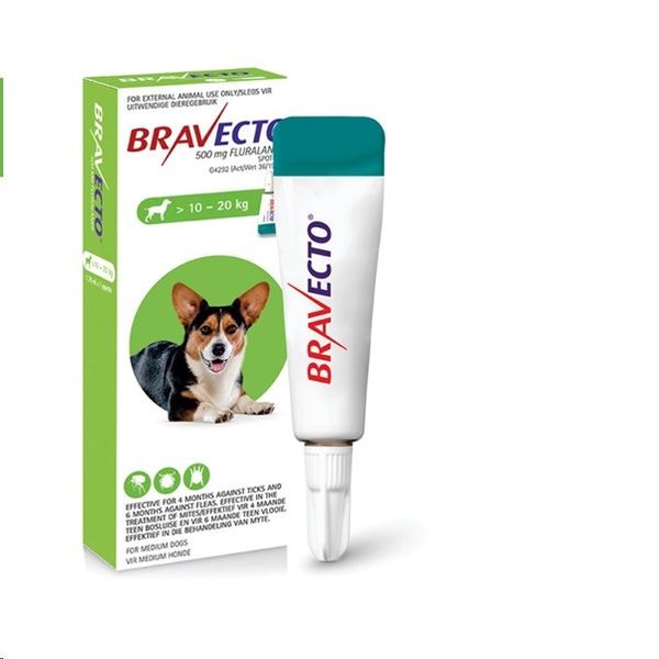 Bravecto Tick &amp; Flea Spot On for Dogs Medium >10 - 20kg (Green box)