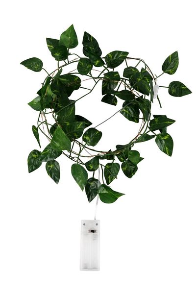 Home Quip Occasional Lights 1,5m / 30 LED Ivy Leaf Wire Light