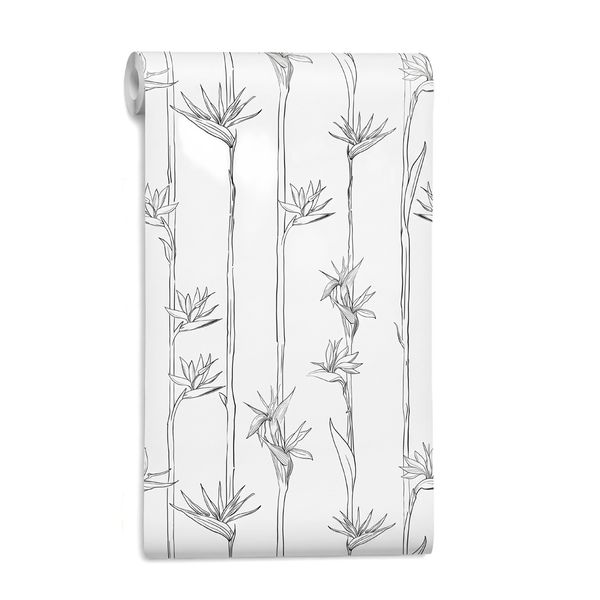 STICKCOOL Peel and Stick Wallpaper Black &amp; White Tropical Bird of Paradise