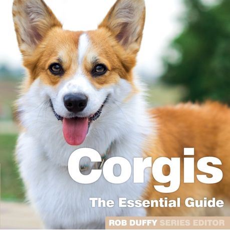 Corgi guide 2024