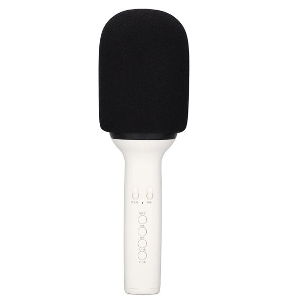 Wireless Bluetooth Karaoke Microphone Speaker - Q9