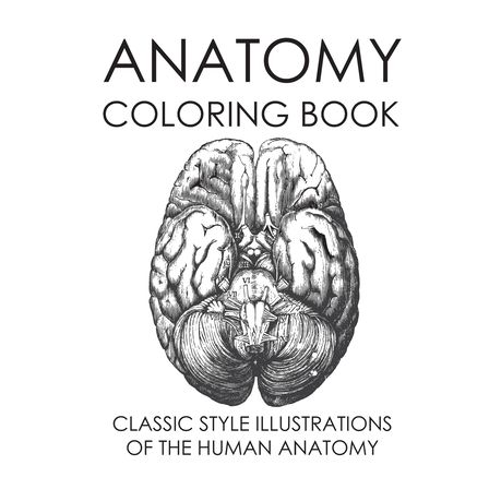 Anatomy Coloring Book Classic Style Illustrations Of The Human Anatomy Buy Online In South Africa Takealot Com