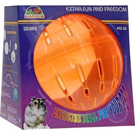 Large hamster ball for hot sale cat