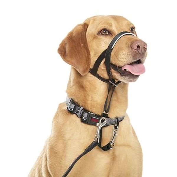 Company of Animals Halti Headcollar Harness