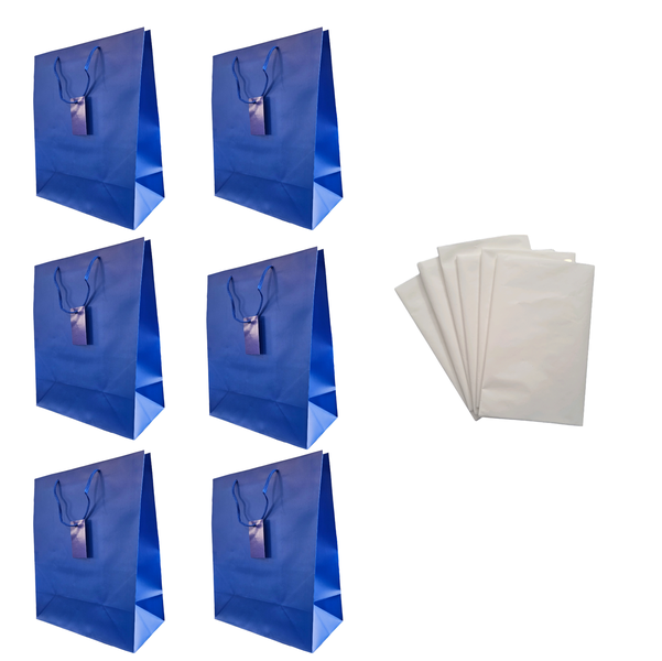 Silver Gift Bag &amp; Tissue Paper Set - 6 Bags
