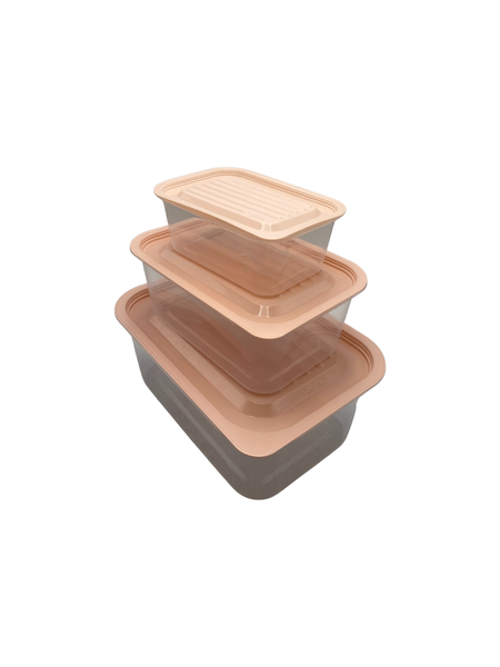 3-Pieces Rectangular Sealed Food Storage Container 438933