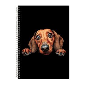 Dachshund 2 A4 Notebook Spiral Lined Notepad Dog Idea 374 | Shop Today ...