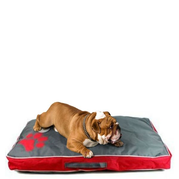 Vibrant Ultra Soft Dog Bed - 70cm x 45cm