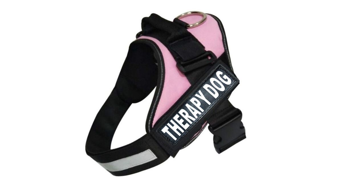 Nakura Therapy Dog Harness With Removable Patches Dark Pink XL