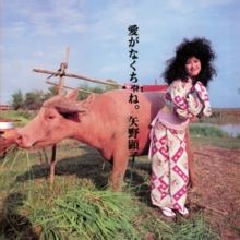 Ai Ga Nakucha Ne (Vinyl / 12" Album (Gatefold Cover))