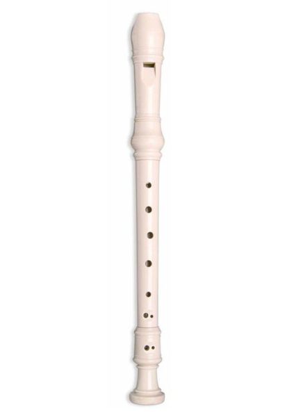 Flute / Recorder - Music Instrument