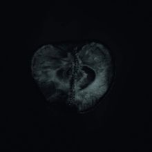 Symphony of Dying (Vinyl / 12" Album)