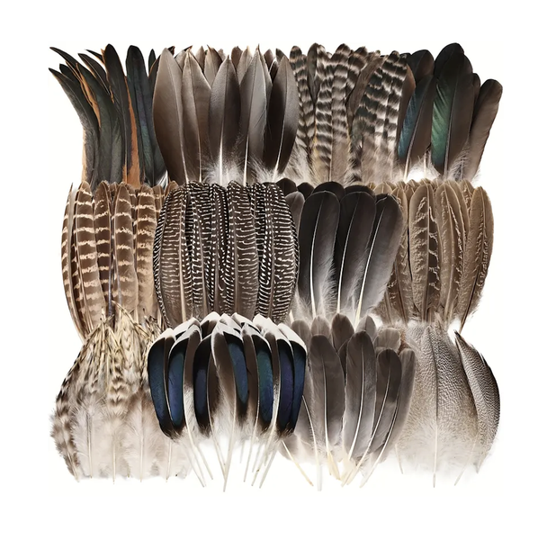 Craft Decor Assorted Colours Feather Combination For Decorations Set of 150
