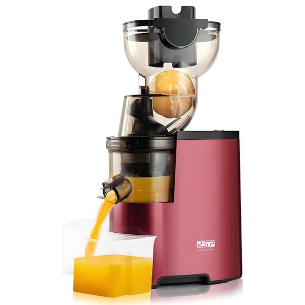 Slow Juicer Extractor Machine Fruit &amp; Vegetable Juice Maker 500ml Cup