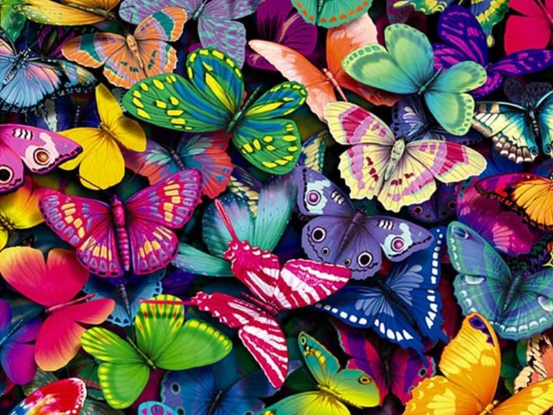 Diamond Painting - Butterflies - 40cm x 50cm
