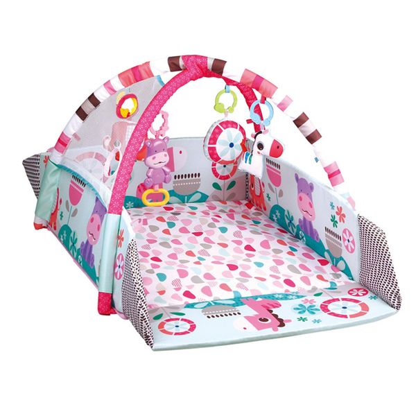 Activity Gym &amp; Ball Pit