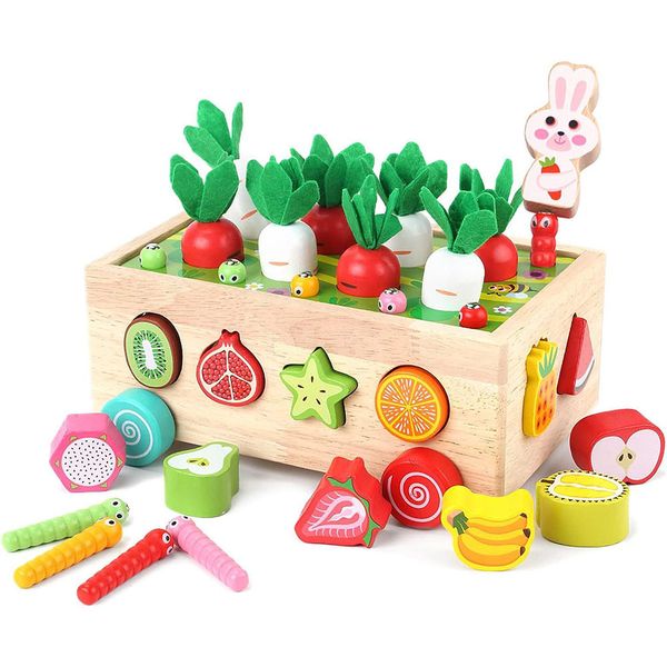 Toddlers Montessori Educational Toys Shape Sorting Toys Fine Motor Game