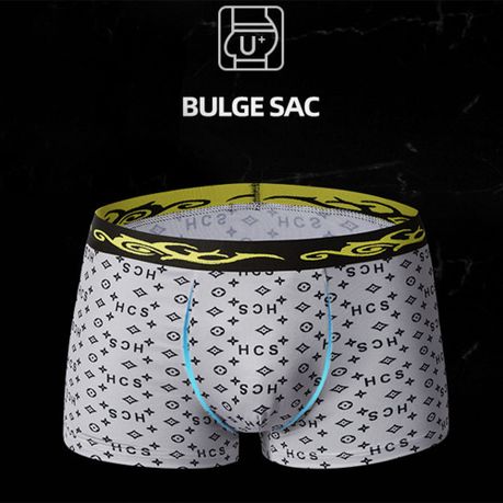 Mens Underwear Boxer Briefs 4PC Underwear Mesh Breathable Underpants