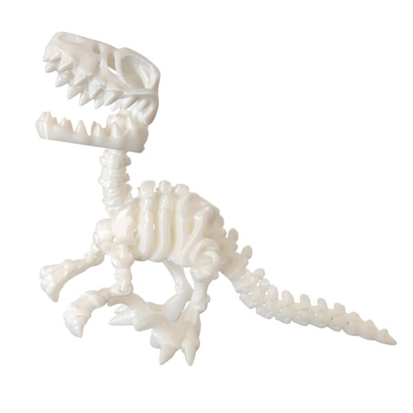 Articulated Raptor Skeleton Toy 3D Printed Moveable Jaw Dinosaur