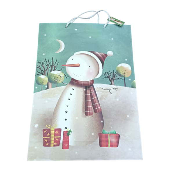 Frosty Fun Gift Bag - Pack of 10