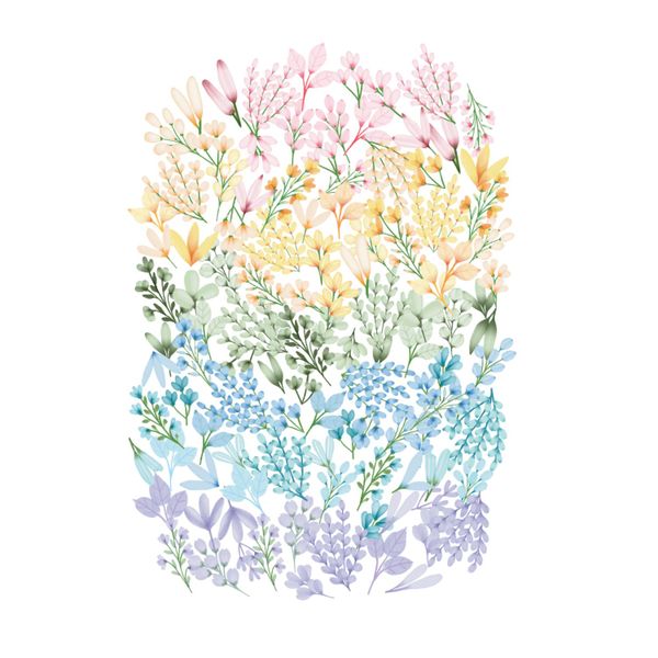 Colour Crush Vellum Creative Cuts