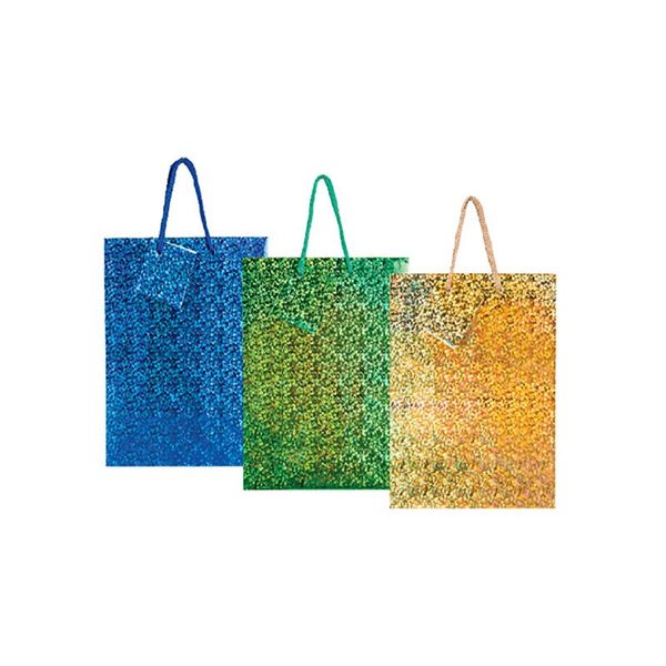 Bulk Pack x 12 Gift-Bag Hologram Small 11x14cm Gloss
