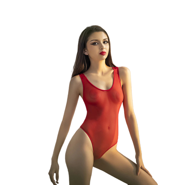 Belle Amoureuse See Through Mesh Bodysuit