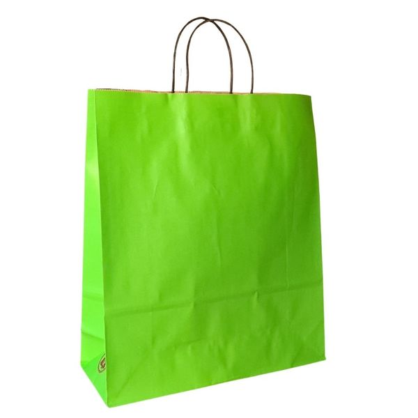Kraft Paper Gift Bags (12 Pack) - Large A3 Plus